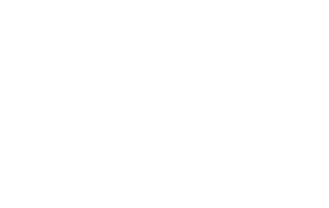 dyer law 2024 logo white